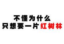 附城孟山村民：我想